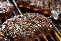 Food Lion Offers Safety Tips During Grilling Season