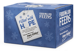 Nourishing Neighbors: Food Lion Feeds and Customers Help Provide More Than 4.8 Million Meals*