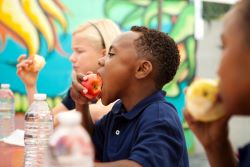 Food Lion Donates More than $106,000 to Support No Kid Hungry