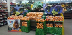 Food Lion Feeds and Customers Team Up to Increase Access to Nutritious Food