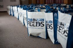 Food Lion Feeds has donated more than 500 million meals to feed neighbors in need.