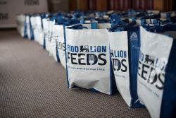Food Lion Feeds Awards $1 Million in Grants to Nearly 600 Hunger Relief Agencies